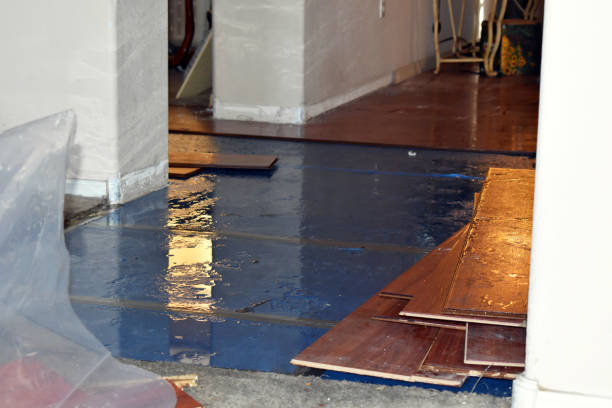 Professional Water Damage Restoration technician working in Middleton, ID